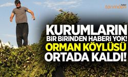 Orman Genel Müdürlüğü’nün resmi yazıdan haberi yok mu?