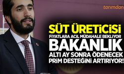 Süt prim desteğine seçim yatırımı eleştirisi!