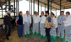 Adana Tarım İl Müdürü Tekin: Bu yıl büyükbaş düve desteği verilecek!