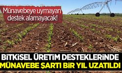 Tarımsal desteklerde münavebe şartı bir yıl uzatıldı!