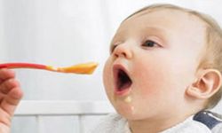 Bakteri bulunduran mamalarda yeni skandal