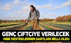 Genç çiftçi hibe desteklerinin şartları belli oldu