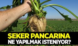 Şeker pancarına ne yapılmak isteniyor?