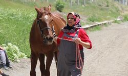 Türkiye’de bir ilk! Kadın seyisler geliyor!