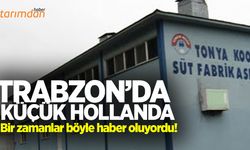 Trabzon’da küçük Hollanda kapandı!