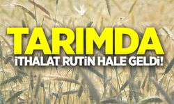 Tarımda ithalat rutin hale geldi!