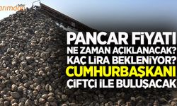 Pancar fiyatı ne zaman açıklanacak ve kaç lira bekleniyor?