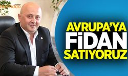 Fidanda ithalat düşüyor ihracat artıyor!