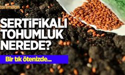 Sertifikalı tohumluk nerede?