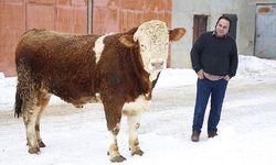 "Paşa"sını Mehmetçiğe bağışladı