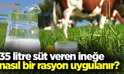 35 litre süt veren ineğe nasıl bir rasyon uygulanır?