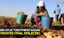 Türkiye bir aylık tüketimi kadar patates ithal edecek!