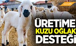 Kuzu oğlak desteği üretimi artıracak