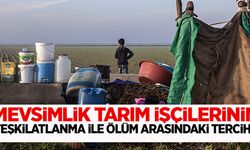 Tarım işçilerinin teşkilatlanma ile ölüm arasındaki tercihi!