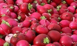 Kadirli turpu tescillenecek