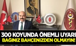 300 koyunda önemli uyarı: Heyecana kapılmayın!