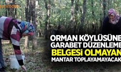 Orman köylüsüne garabet düzenleme!