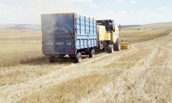 Nadasa bırakılan tarım arazisi azaldı!