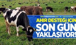 Ahır desteği için son gün yaklaşıyor!