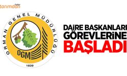 Orman Genel Müdürlüğü’nde daire başkanları değişti