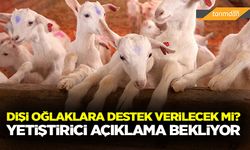 Dişi oğlaklara destek verilecek mi?