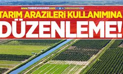 Tarım arazileri kullanımına yeni düzenleme