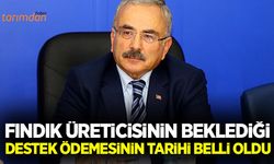 Fındık üreticisinin beklediği desteklerin ödeme tarihi belli oldu