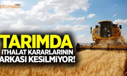 Tarımda ithalat kararlarının arkası kesilmiyor!