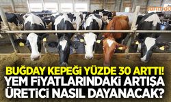 Buğday kepeği fiyatları 1 ayda yüzde 30 arttı!