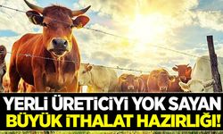 500 bin baş kasaplık hayvan ithal edilecek!