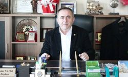 Yağışlar ayçiçeğini bereketlendirdi