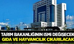 Tarım Bakanlığı ile Orman Bakanlığı birleşiyor!