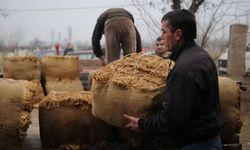 Bakanlık harekete geçti