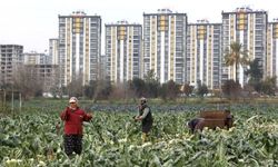 "Tarım alanları betonlaşıyor"