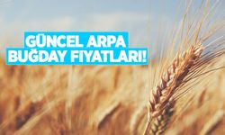 Güneydoğu Anadolu Bölgesinde arpa buğday fiyatları kaç lira oldu?