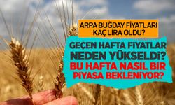 Buğday fiyatları (11 Temmuz) kaç lira oldu? Geçen hafta fiyatlar neden yükseldi bu hafta nasıl bir piyasa bekleniyor?