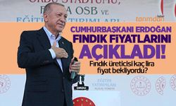 Fındık fiyatları Cumhurbaşkanı Erdoğan tarafından açıklandı! Üretici kaç lira fındık fiyatı bekliyordu?