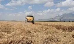 Tarım Kredi 2025 kredi limiti ve başvuru şartları