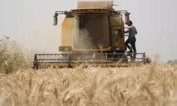 TMO buğday ithalat ihalesi, hububat fiyatlarını nasıl etkiledi? 27 Şubat buğday, arpa, mısır fiyatı kaç lira oldu?