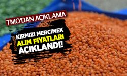 TMO kırmızı mercimek alım fiyatlarını açıkladı! 2022 yılı kırmızı mercimek alım fiyatı kaç lira oldu?