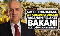 Çayır tırtılı istilası arı katliamına dönüştü! Trakya’da yaşanan felaket Vahit Kirişçi’yi koltuğundan edebilir! 