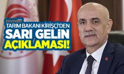 Tarım Bakanı Vahit Kirişçi çayır tırtılı istilasına uğrayan 'Sarı Gelin' ile ilgili açıklamada bulundu!