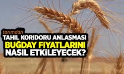 Tahıl Koridoru anlaşması buğday fiyatlarını nasıl etkileyecek?