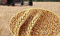 Çiftçi, 1 kilo buğdaya 1 tane ekmek alamıyor!