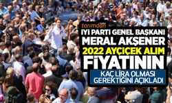 Ayçiçeği alım fiyatı (2022) kaç lira olmalı? Meral Akşener: Ayçiçeğinde sulu ve kuru tarıma göre fiyat açıklanmalı