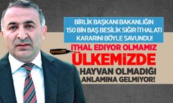 Birlik Başkanından sığır ithalatı değerlendirmesi: İthal ediyor olmamız ülkemizde hayvan olmadığı anlamına gelmiyor!