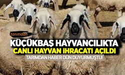 Küçükbaş hayvancılıkta canlı hayvan ihracatı açıldı! Tarım Bakanlığı kararı 81 il müdürlüğüne gönderdi!