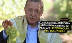 Cumhurbaşkanı Erdoğan kuru üzüm alım fiyatını açıkladı! Üzüm üreticisi kaç lira fiyat bekliyordu?