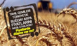 Son bir haftada buğday fiyatları kaç lira oldu? Tahıl gemileri Türkiye’de buğday arpa fiyatlarını nasıl etkiliyor?