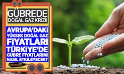 Gübrede doğal gaz krizi! Avrupa’daki yüksek doğal gaz fiyatları Türkiye’de gübre fiyatlarını nasıl etkileyecek?